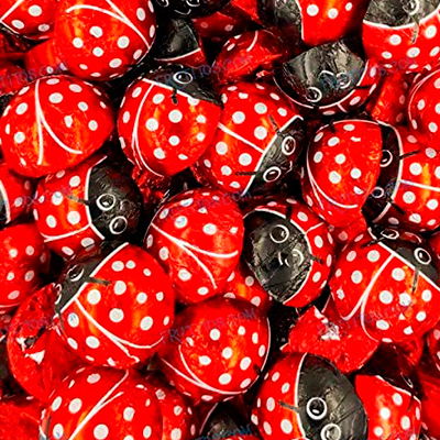 img-ladyBugChocolate